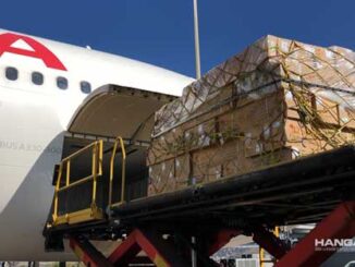 Día de Todos los Santos - IAG Cargo transportó 12 millones de flores desde Colombia y Ecuador