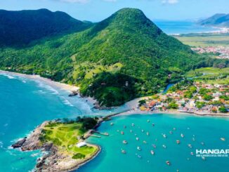 Flybondi retomará sus vuelos a Florianópolis