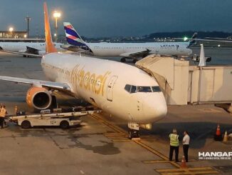 Flybondi busca operar vuelos domésticos en Brasil