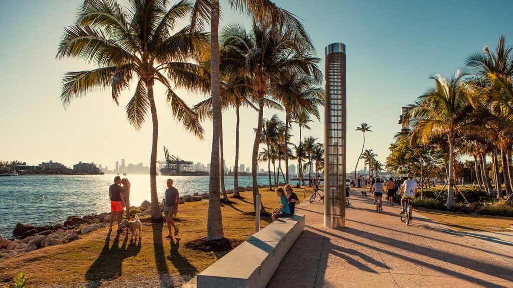 American Airlines reanuda sus vuelos a Miami desde Montevideo: el cronograma y las fechas del servicio estacional Personas paseando por un parque costero con palmeras al atardecer en la ciudad de Miami.